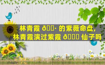 林青霞 🌷 的紫薇命盘,林青霞演过紫霞 🐛 仙子吗